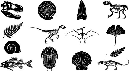 Set of various prehistoric fossils and dinosaur skeletons © Md