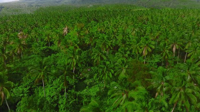4K Drone View Tourists Driving ATV Quad Bikes Near Mayon Volcano Philippines
group of adventurous tourists driving ATV quad bikes along a dirt trail near the foot of Mayon Volcano in Albay