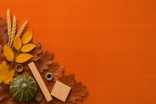 Autumn Orange Corrugated Background with Wheat and Pumpkin for Construction and Home Improvement