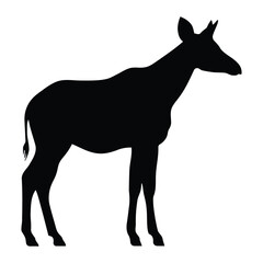 Fototapeta premium A black silhouette of a young antelope stands in profile a striking outline silhouette