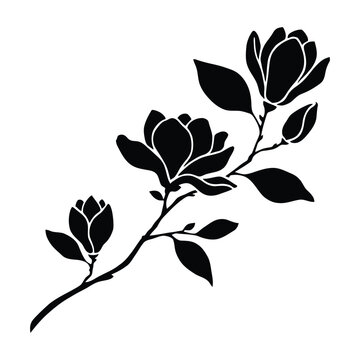 Blooming magnolia branch with leaves and buds is depicted as a silhouette