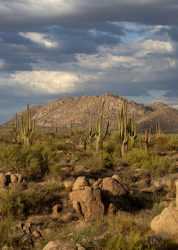 Vert Ratio View Sonoran Desert Landscape Phoenix AZ Area