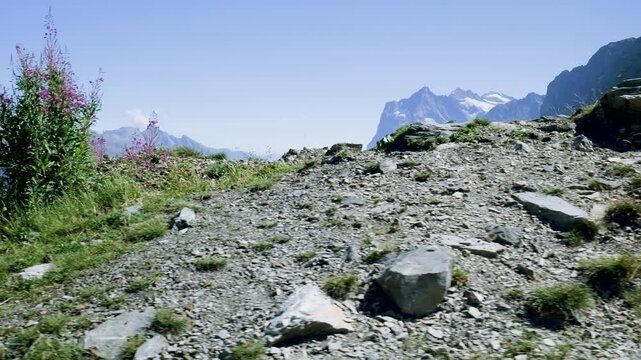 Stunning panoramic view of the grindelwald valley revealing the majestic swiss alps in summer. Switzerland