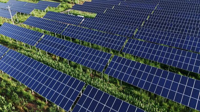 Aerial pan right over rows of blue solar panels in a green agrivoltaic field, capturing modern clean energy and sustainable agriculture for ESG, eco-tech, and renewable power concepts.
