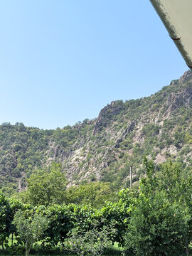 Mountain cliff rising above lush green summer vegetation