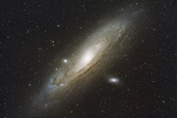 The Andromeda Galaxy with its bright core, spiral arms, and satellite galaxies surrounded by distant stars in deep space. © Oleksii