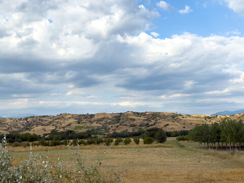 Dry farmland across rolling hills beneath cloudy sky