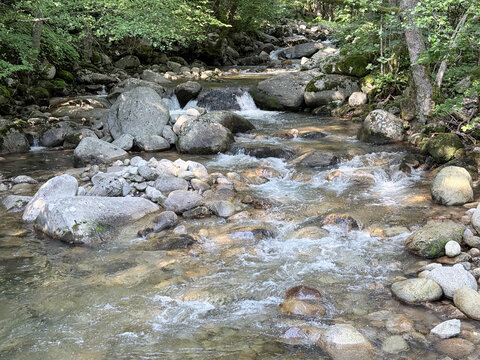 Clear mountain stream flowing among rocks through forest