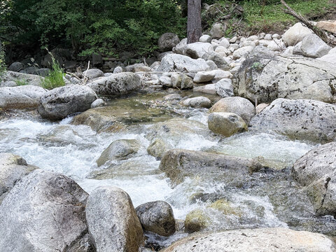 Rocky mountain stream flowing through rugged forest landscape