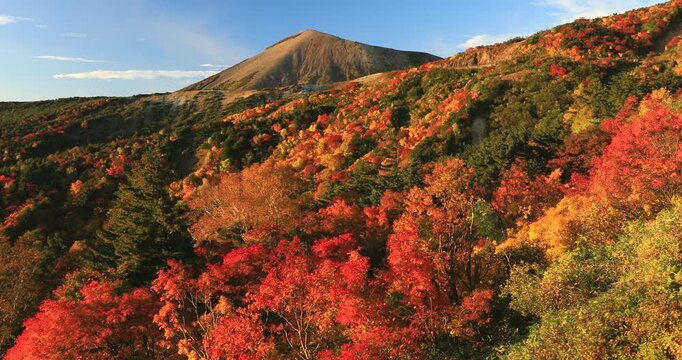 磐梯吾妻スカイラインから紅葉と朝焼けの吾妻小富士