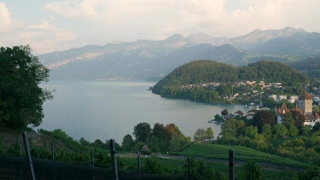 Scenic landscape with vineyards overlooking spiez castle on the shore of lake thun in the swiss alps. Switzerland