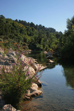 The beautiful little Orbieu river near Ribaute, Corbi&egrave;res, Aude, Occitanie, France