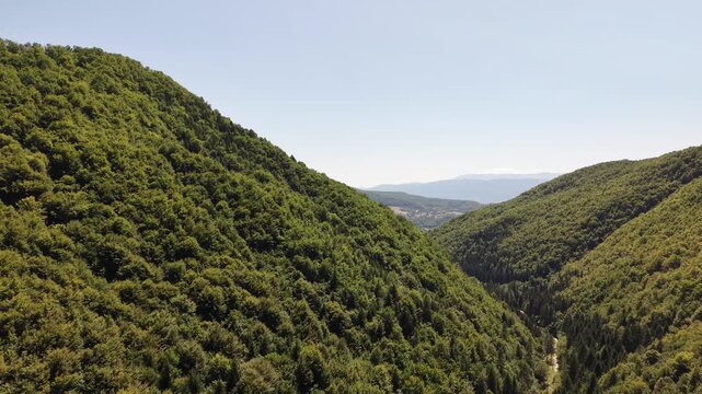 Aerial Drone View of Lush Green Forested Hills and Valley in Mountainous Countryside Landscape Sunny Day