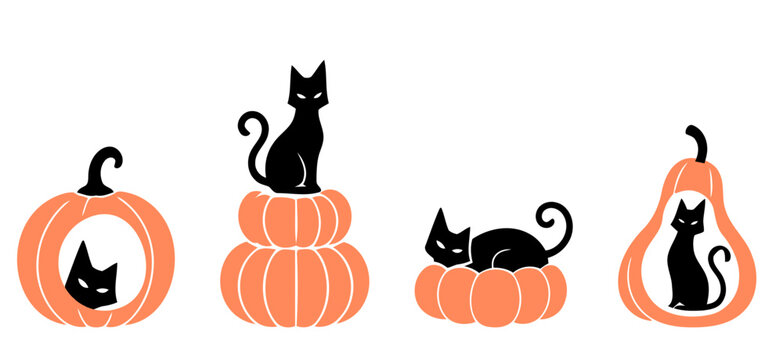 Cute black cat and pumpkin collection featuring playful cats sitting inside, on top of, and resting on orange pumpkins in simple flat vector style.