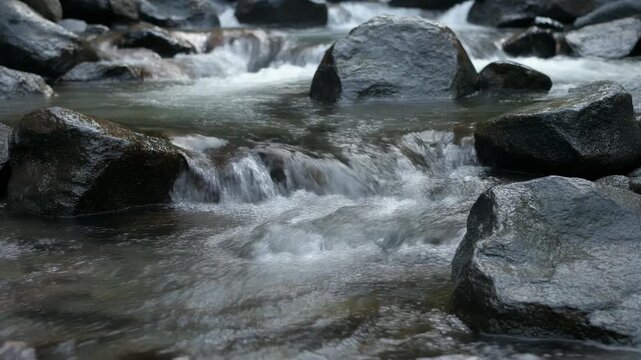 Flowing River Water Over Smooth Stones in Natural Forest Setting Cinematic Motion