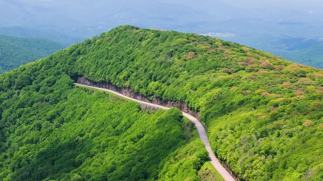 Road trip driving in North Carolina Appalachian mountains. Winding parkway in mountain forest with green canopies in summer season