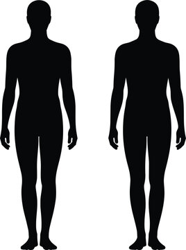 Two identical black silhouettes of standing human figures, front view, isolated on a white background, representing gender-neutral body shapes for anatomical reference