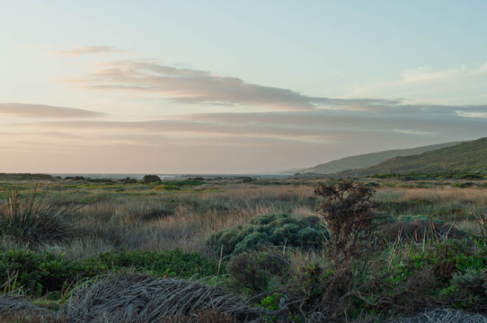Coastal heathland in Western Australia glowing beneath layered clouds and soft evening light beside the distant ocean