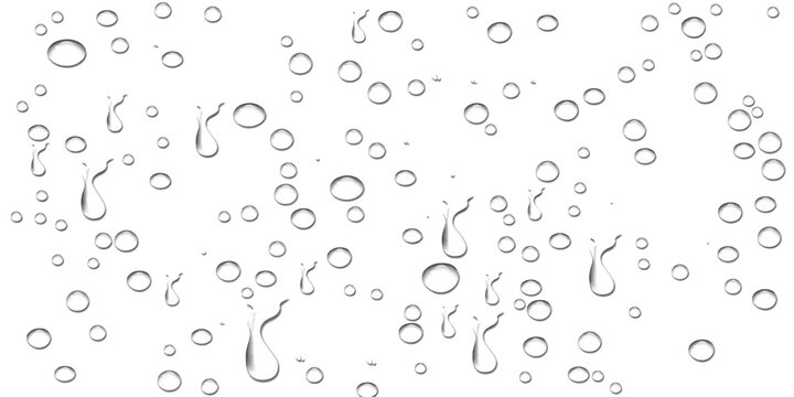 Realistic water drops and condensation texture pattern on white background with transparent water droplets and condensation splatter pattern isolated on white splash liquid drops rain
