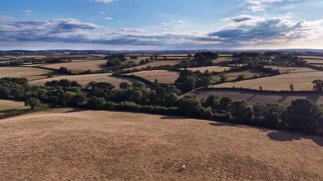 Evening sunshine on West Country farmland