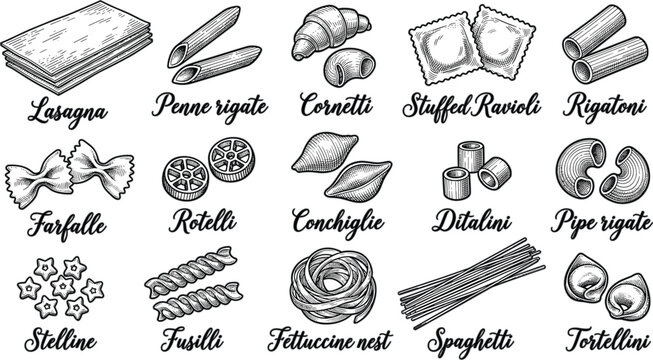 Vintage Italian Pasta Types Etching Poster Design with Calligraphy Text for Culinary Kitchen Wall Art Prints and Adult Coloring Book Pages