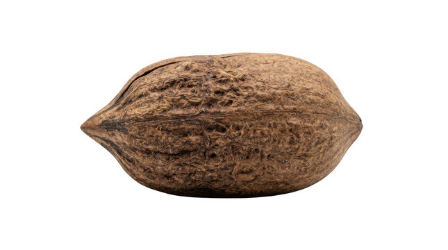 Single raw pecan nut in shell isolated on transparent background for healthy food and culinary photography projects