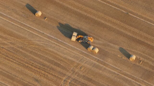 Farming tractor stacking hay bales in a golden wheat field