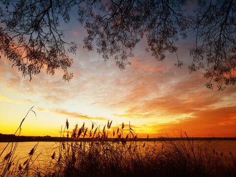 Golden winter sunset frozen lake shore
