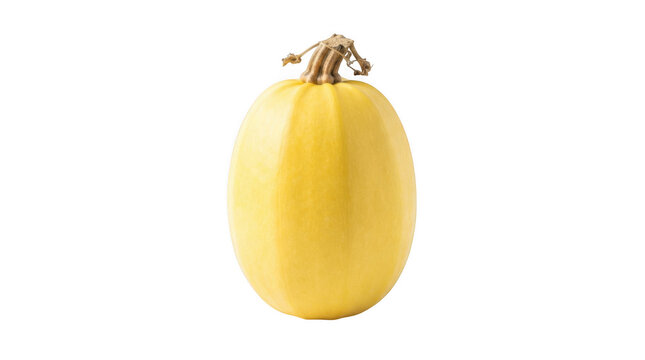 Fresh spaghetti squash vegetable isolated on transparent background for healthy cooking and culinary food photography