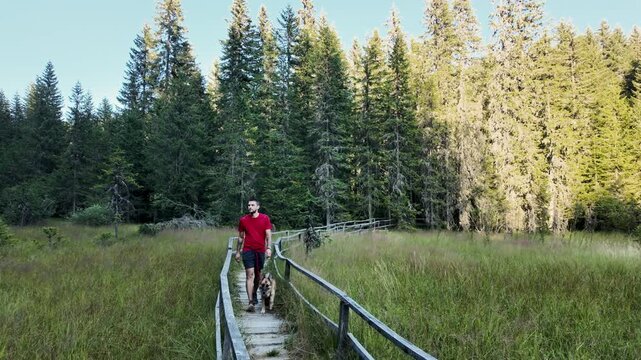 Man walks with a German shepherd on a wooden boardwalk in Jankova Bara, Kopaonik, Serbia. Outdoor footage suits travel, hiking, pet and ecotourism themes