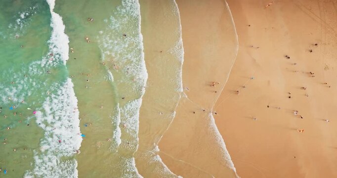 Bondi Beach showing turquoise ocean waves breaking on golden sand with many people swimming in water and relaxing on shore during a sunny summer day in Sydney. Travel background. Aerial top down view
