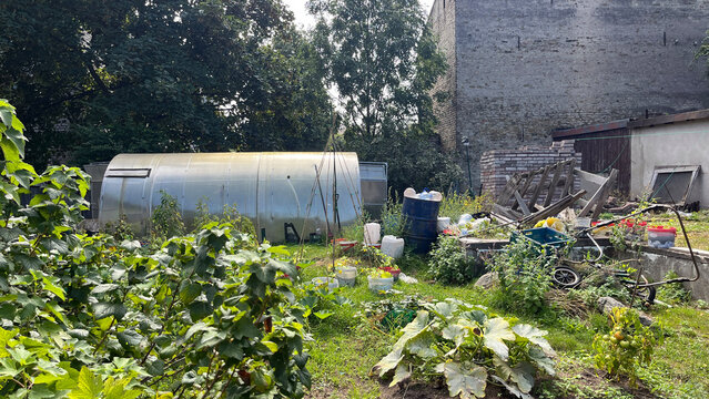 Urban community garden with a polytunnel greenhouse, vegetable beds, berry bushes, gardening tools, and recycled materials, surrounded by historic brick buildings and lush greenery.