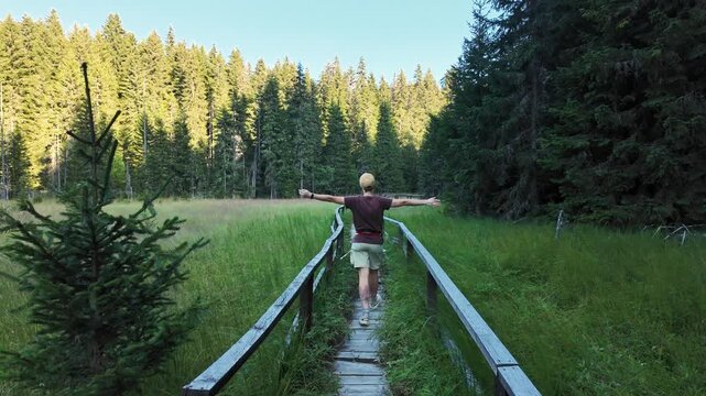 Woman hikes with two dogs German and Australian shepherds on a boardwalk in Jankova Bara, Kopaonik, Serbia. Outdoor footage suits travel, pets and ecotourism themes