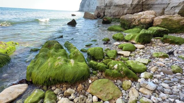Camera panning smoothly right across vibrant green algae covered boulders towards towering white chalk cliffs.