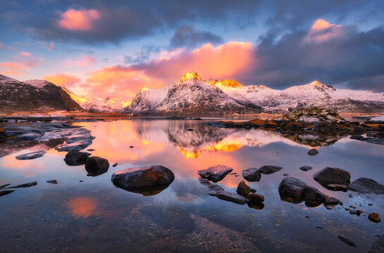 Snow covered mountains reflected in fjord water at sunset in Lofoten, Norway. Winter arctic landscape with pink clouds, sunlit peaks, sky, rocks on shore and water reflection in quiet bay at dusk