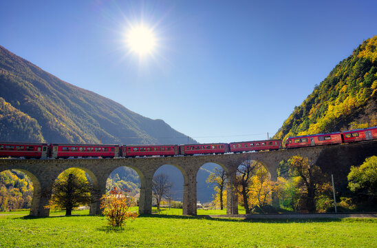 Bernina Express red train on Brusio spiral viaduct in Swiss alpine mountains sunny autumn day. Kreisviadukt, Switzerland. Train on the bridge in Alps. Railroad, green grass, colorful trees in fall