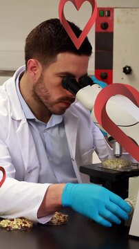Animation of heart icons over caucasian male scientist using microscope studying food