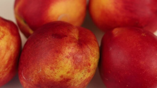 Picking fresh nectarine in a sunny orchard