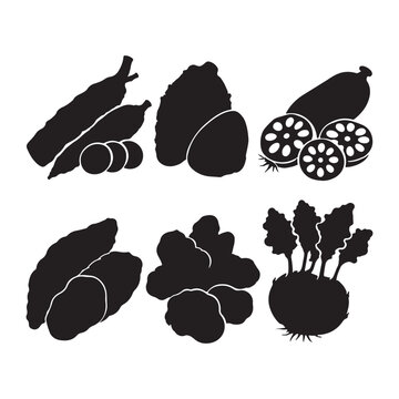 Root Vegetable Silhouette Collection Vector, Cassava, Taro, Lotus Root, Sweet Potato, Ginger and Kohlrabi Icons.