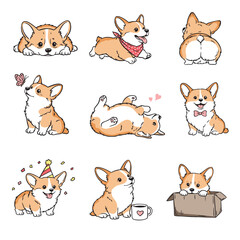 Fototapeta premium Vector collection of nine cute welsh corgi puppies in different poses and situations in kawaii style. Set includes corgi playing with butterfly, lying on its back, sitting in a birthday hat