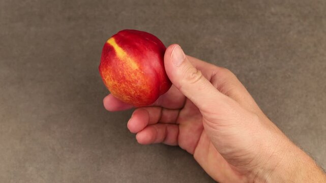 nectarine in hands close-up