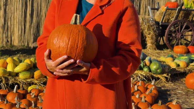Mid-shot of person cradling medium orange pumpkin with both hands at chest level while wearing bright orange coat and teal collar, fingers interlaced under pumpkin indicate steadying or presenting
