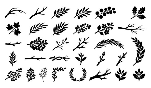 Minimal Black Branch and Leaf Silhouette Vector Collection for Botanical Nature Design