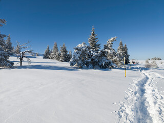 Obraz premium Landscape of Vitosha Mountain, Bulgaria