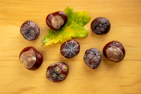 Decorative painted chestnuts with white patterns and oak leaf arranged on wooden surface photographed from above
