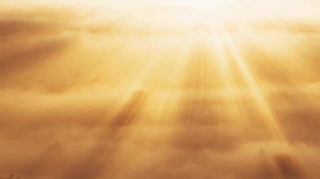 Sunlight streaming through golden clouds over distant treetops in hazy sky