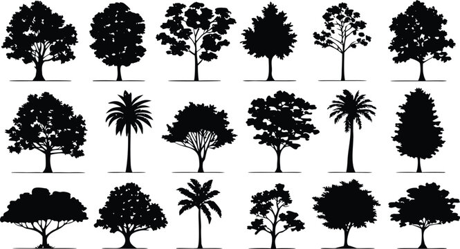 Eighteen black silhouette trees, isolated on a white background nature