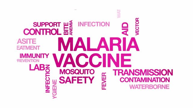 Malaria Vaccine concept Animated Tag Word Cloud kinetic typography, Text Design Animation typography seamless loop video motion graphics Intro Wordart arrangement pinkk type on white background bg bac
