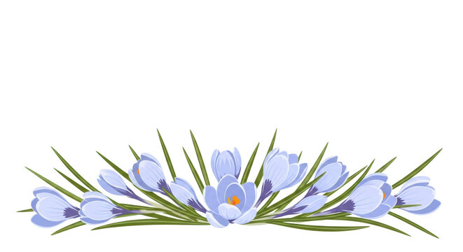 Delicate pale blue crocus flowers with subtle gradients and olive green leaves form a minimalist vector art border on a transparent background, concept of early spring renewal