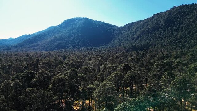 Parque Ecotur&iacute;stico de Rancho Nuevo en San Crist&oacute;bal de las Casas